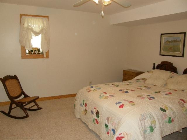 11688 North Brooks Road Irons, MI 49644 - Photo 10 of 20 Additional Photo