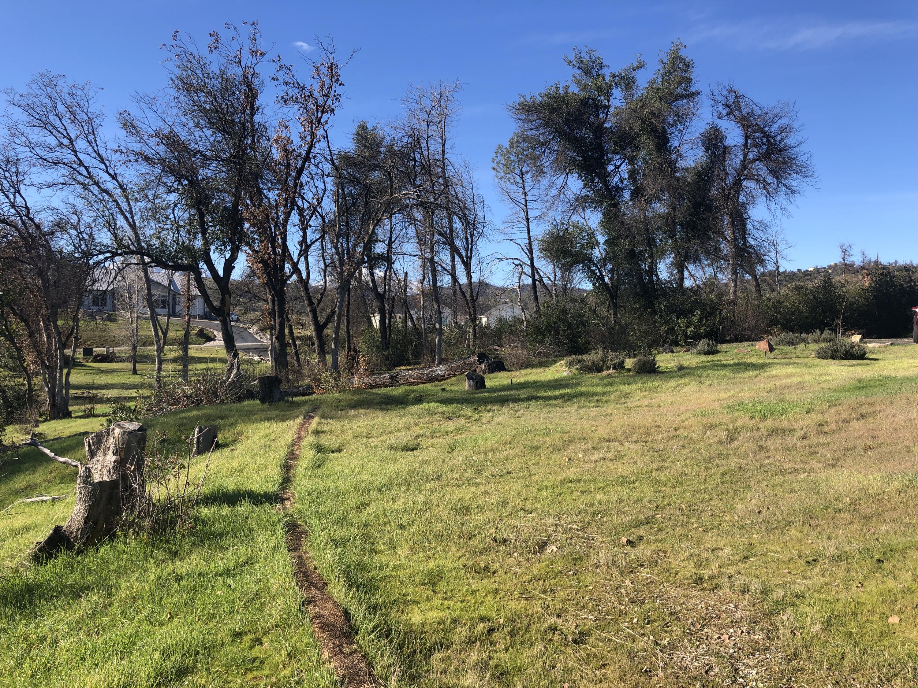 10049 Tilton Mine Road Redding, CA 96001 - Photo 5 of 20 IMG-4403