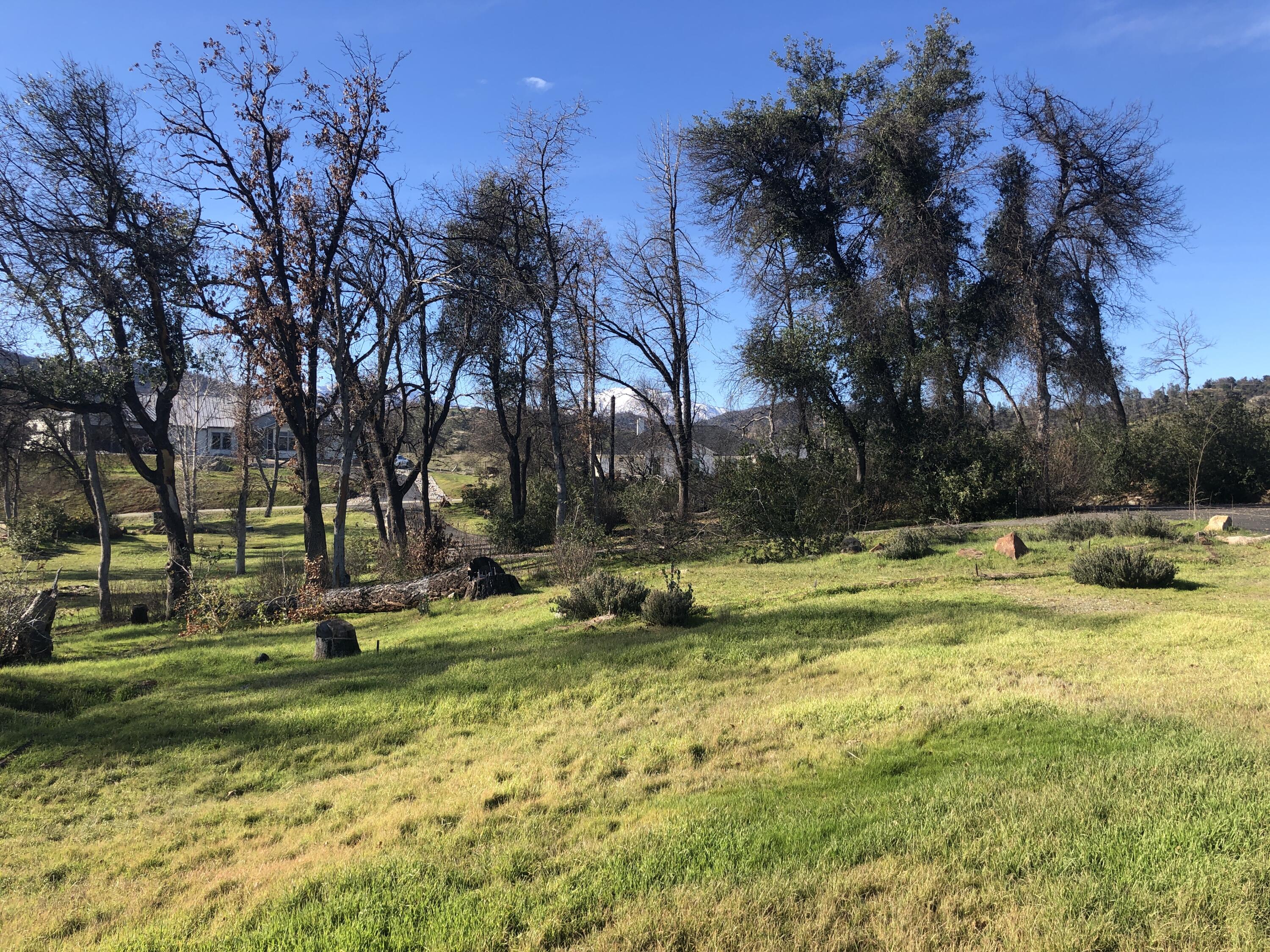 10049 Tilton Mine Road Redding, CA 96001 - Photo 6 of 20 IMG-4404