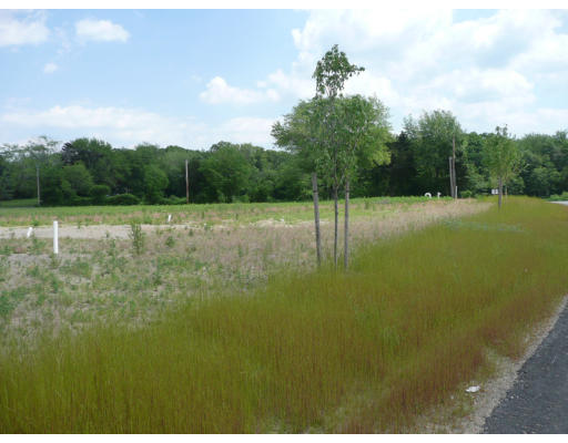 a view of a lake with a yard