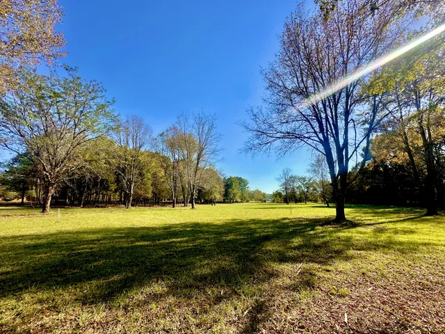 a view of a golf course