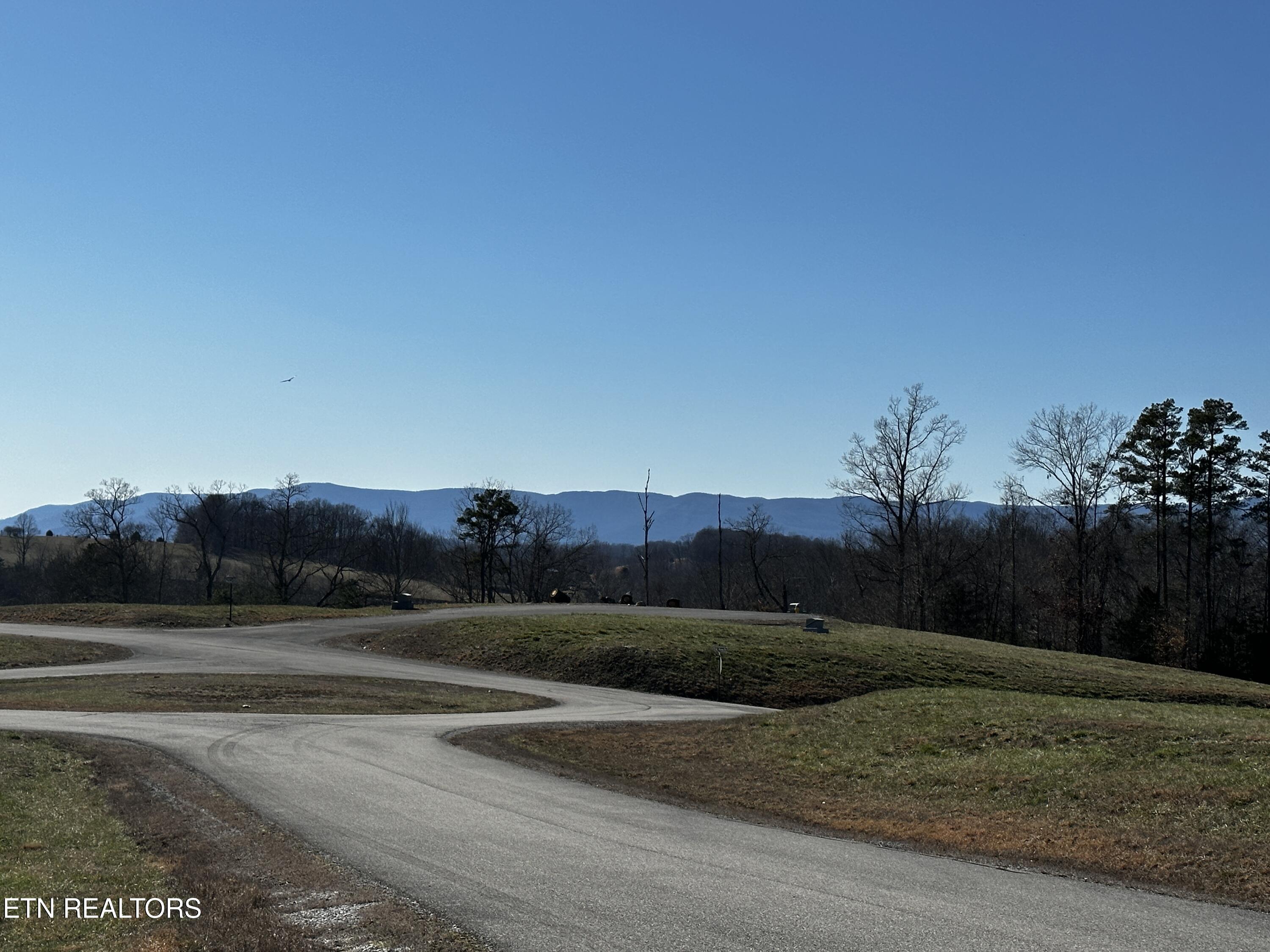 535 Prestige Ridge La Follette, TN 37766 - Photo 15 of 31 IMG_2113