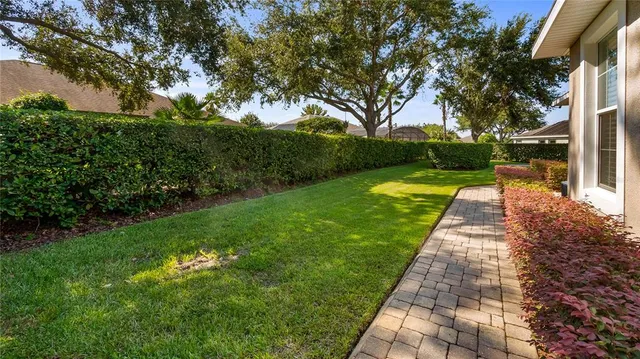a green field with some trees in the background