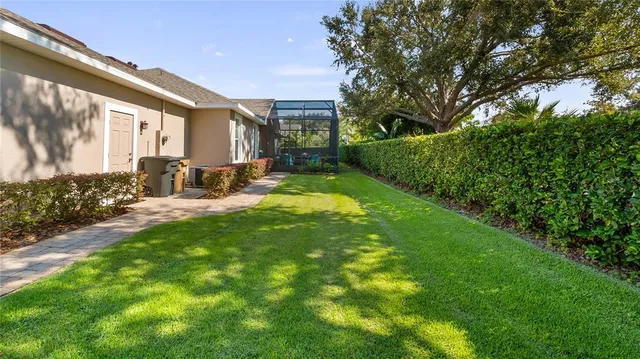 a view of a garden with large trees