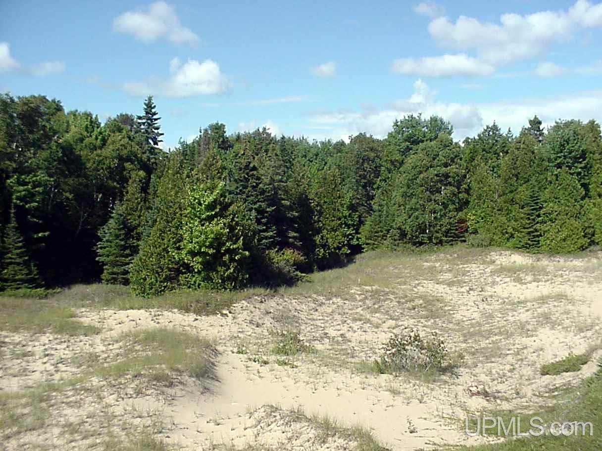 Tbd Hemlock Views Trail, Unit 10 Manistique, MI 49854 - Photo 5 of 10
