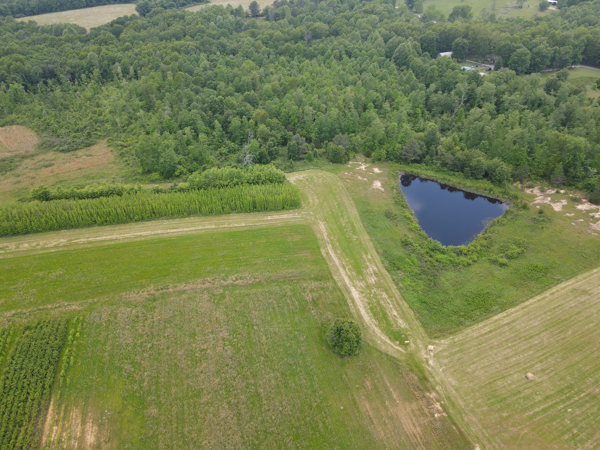 251 Yoder Road Altamont, TN 37301 - Photo 14 of 22 Gallery Image 14