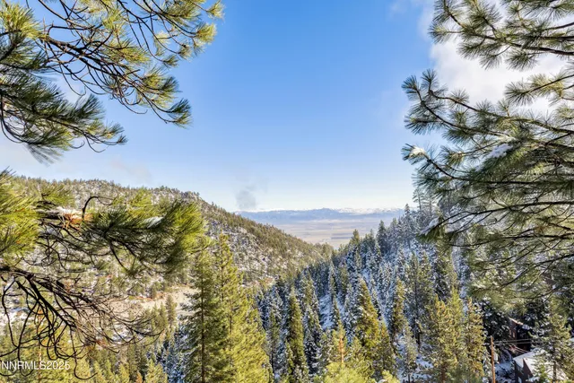 a view of a backyard with large trees