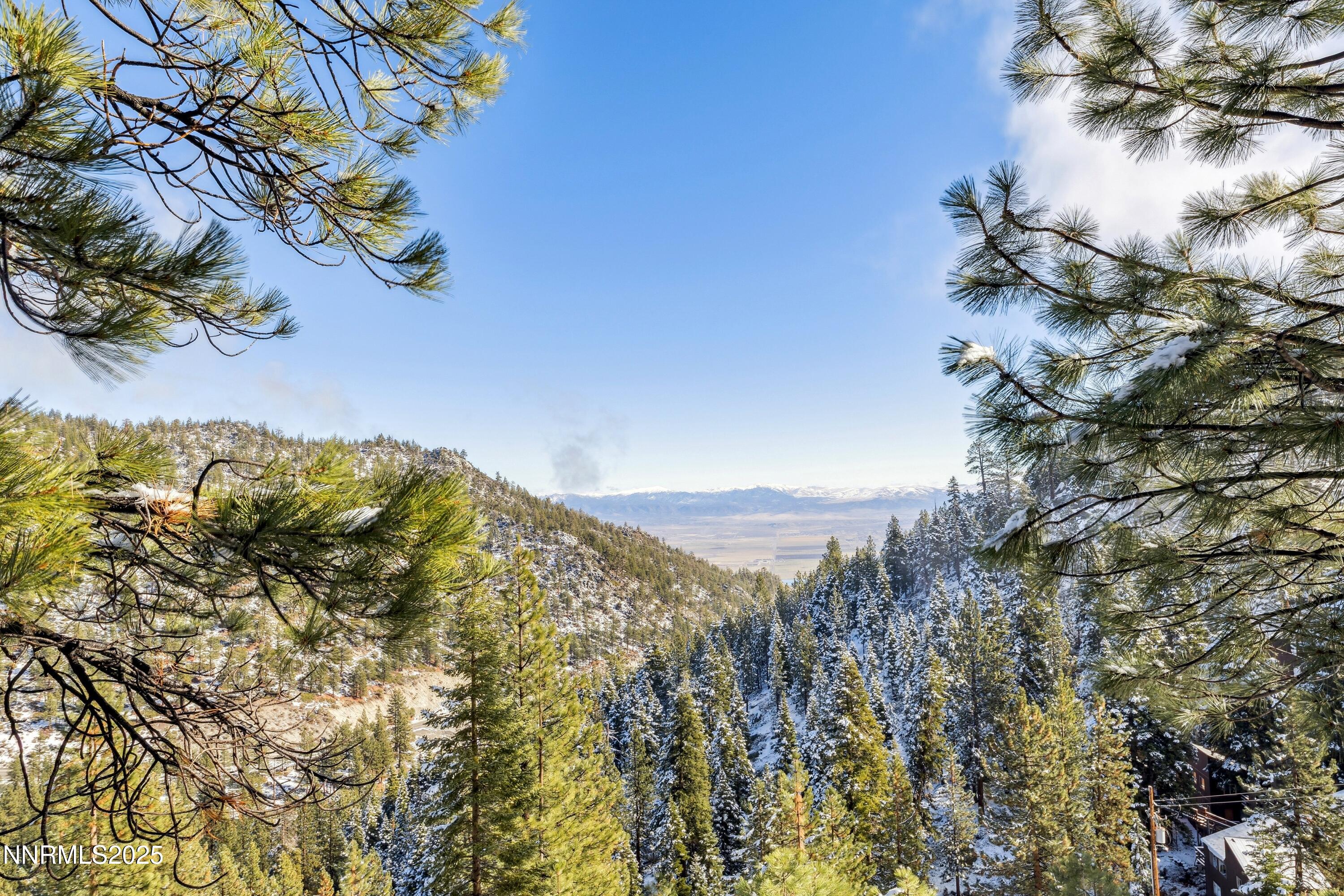 146 Tramway Drive Stateline, NV 89449 - Photo 12 of 22 a view of a yard