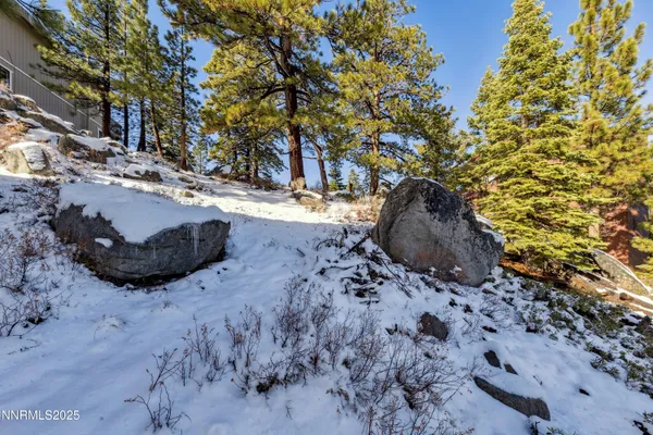 a view of a yard with trees