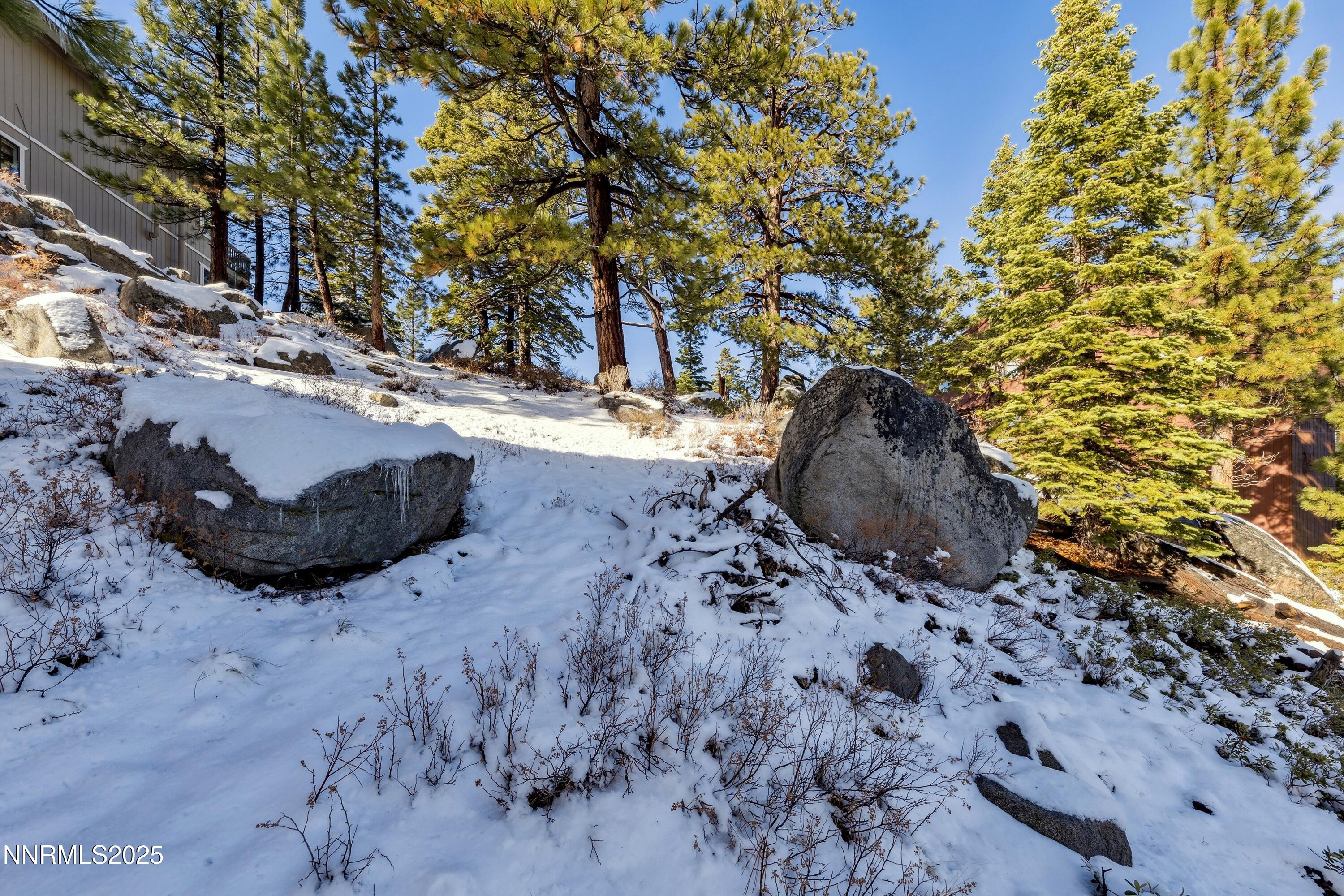 146 Tramway Drive Stateline, NV 89449 - Photo 14 of 22 a view of a backyard with large trees