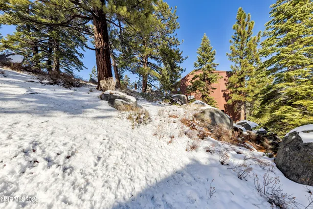 a view of a backyard of the house