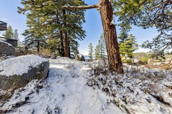 a view of roof with potted plants in front of it