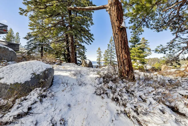 a view of roof with potted plants in front of it