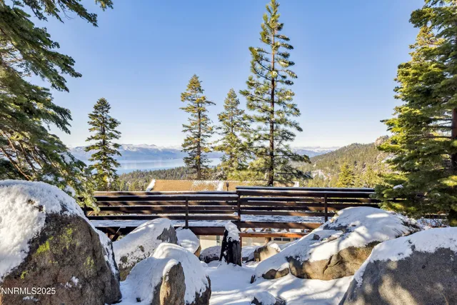 a view of a tree in a yard