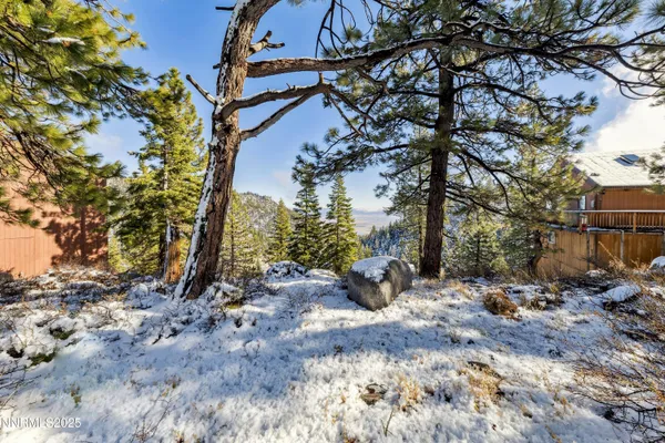 a view of a city with large trees