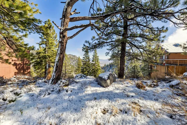 a view of a city with large trees