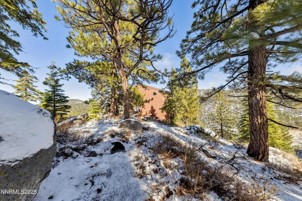 a view of a yard with wooden fence