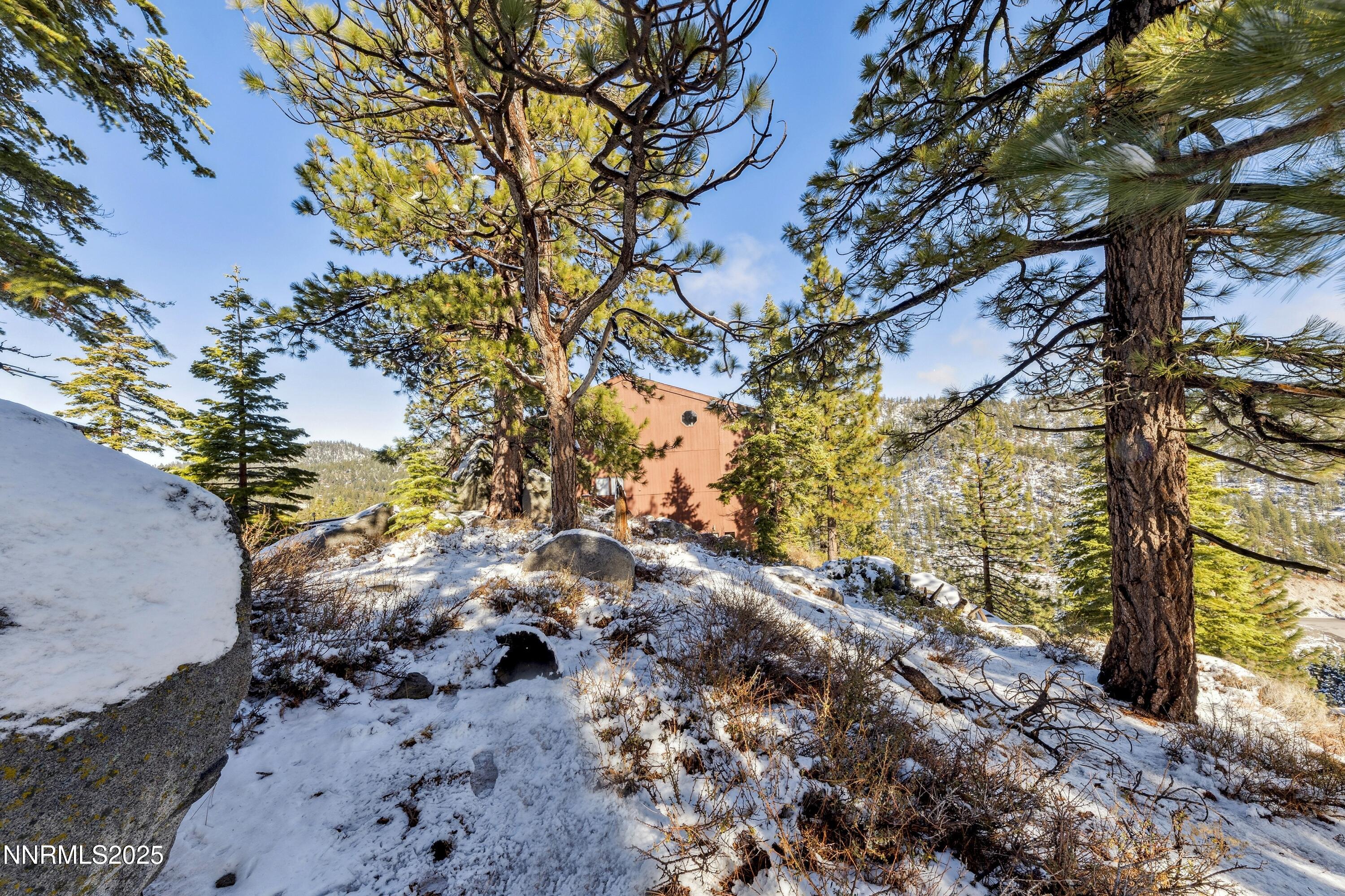 146 Tramway Drive Stateline, NV 89449 - Photo 20 of 22 a view of a tree in a yard