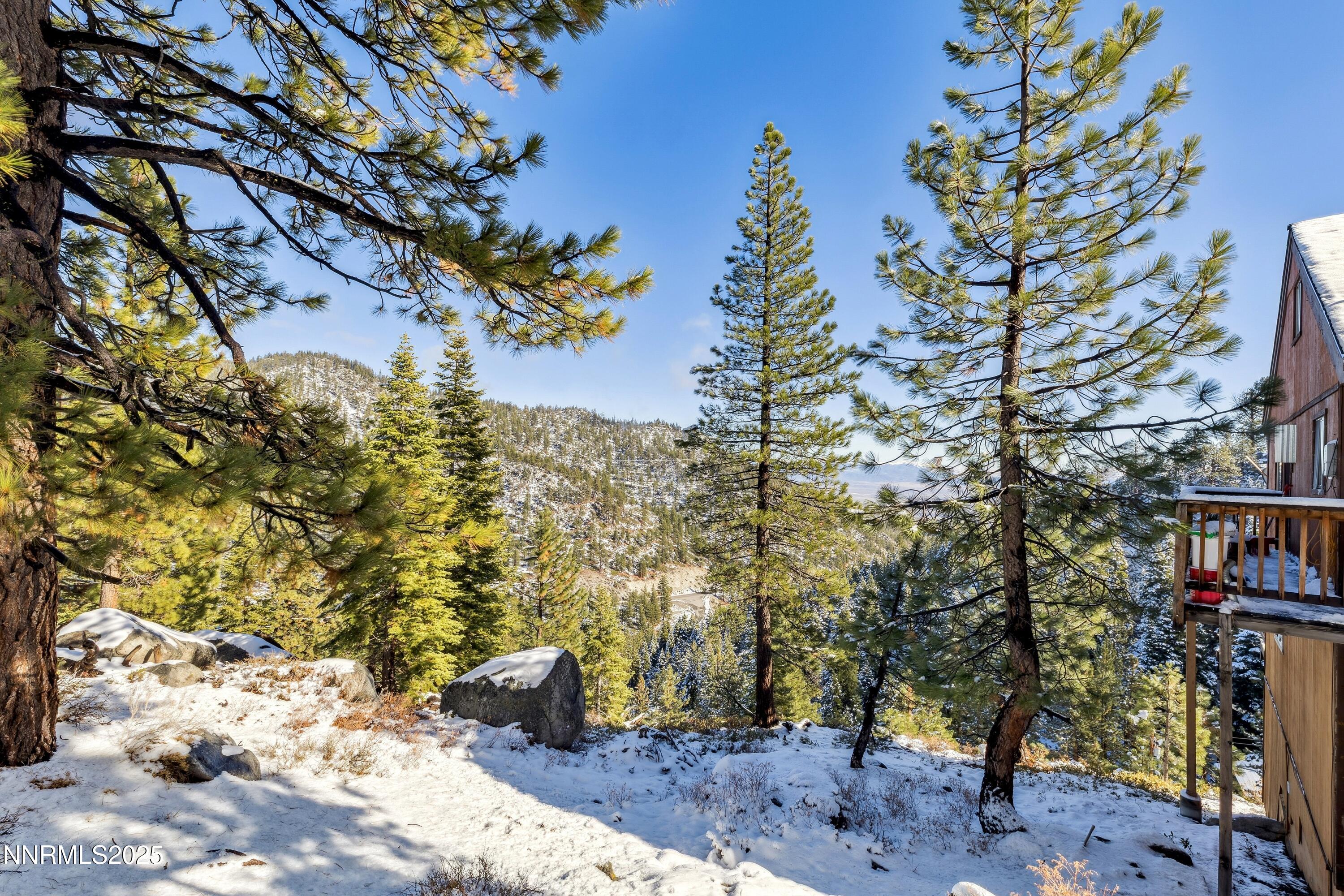 146 Tramway Drive Stateline, NV 89449 - Photo 21 of 22 a view of a city with large trees