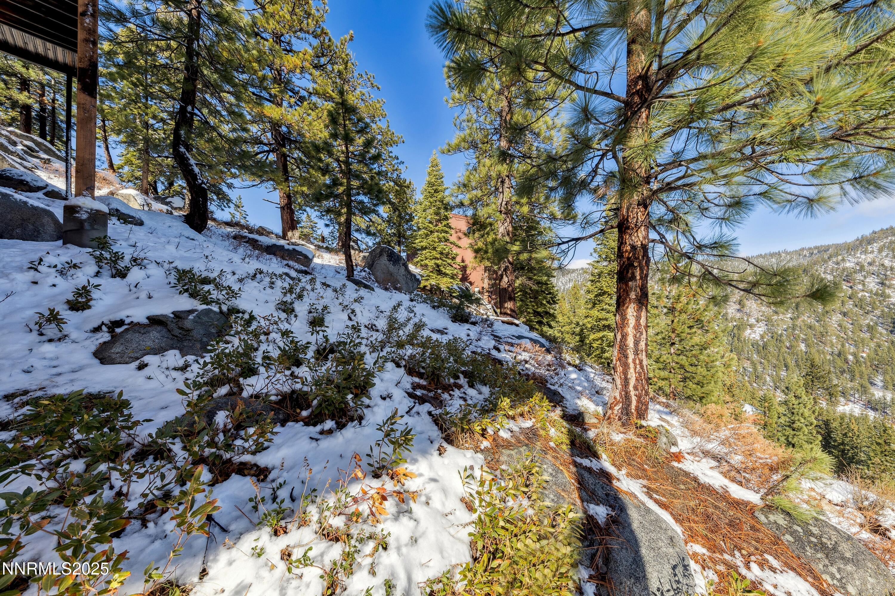 146 Tramway Drive Stateline, NV 89449 - Photo 8 of 22 a view of a tree with a yard