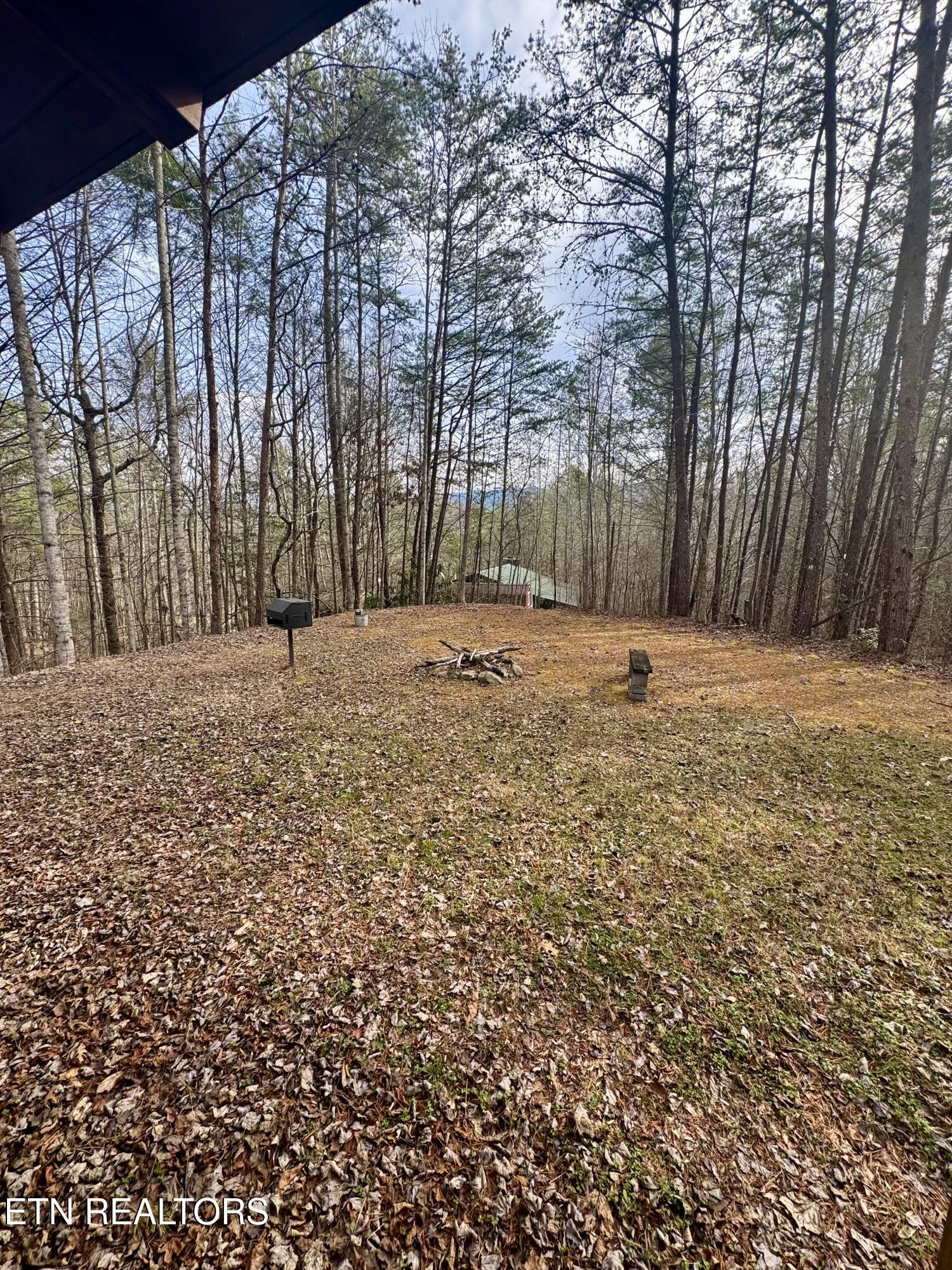 2950 Grassy Branch Loop Sevierville, TN 37876 - Photo 27 of 31 IMG_3006