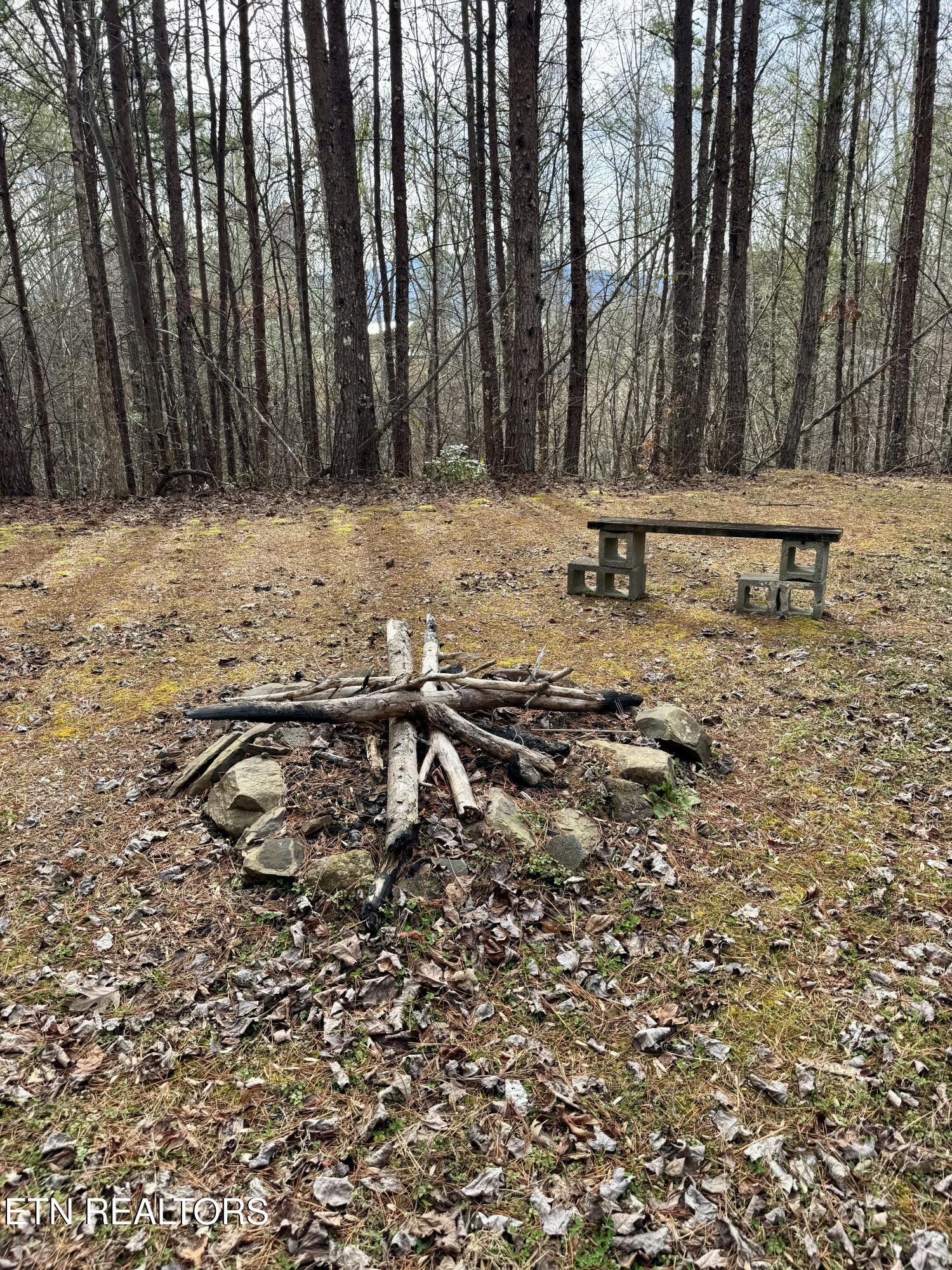 2950 Grassy Branch Loop Sevierville, TN 37876 - Photo 28 of 31 IMG_3011