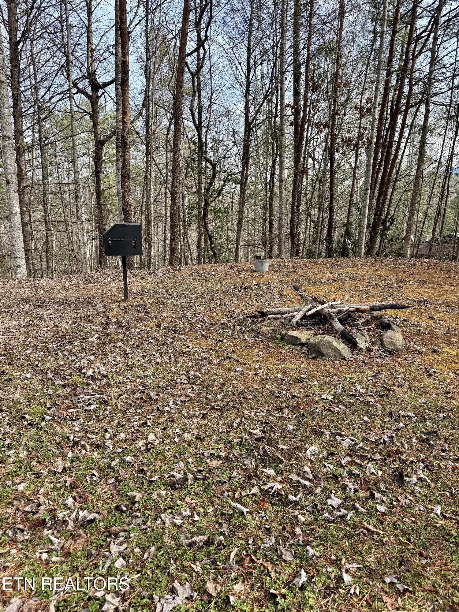 2950 Grassy Branch Loop Sevierville, TN 37876 - Photo 29 of 31 IMG_3012