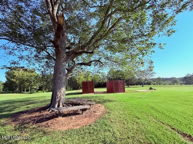 136 Beaver Dam Road Tylertown, MS 39667 - Photo 19 of 32 IMG_0829