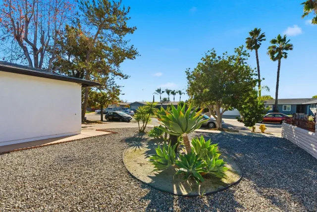 a view of a yard with plants