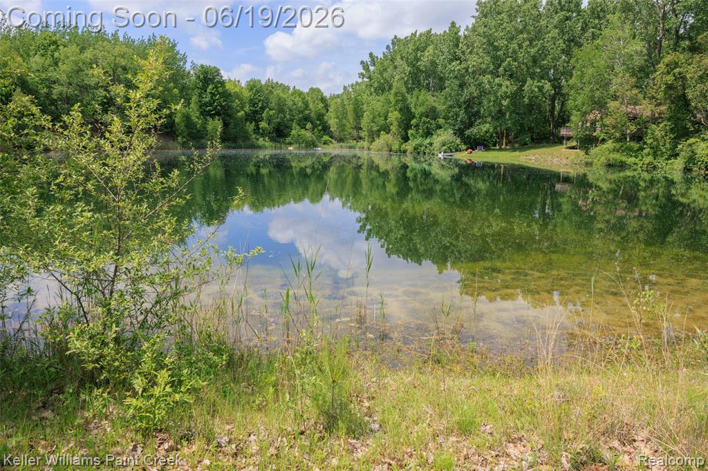 2457 Harrington Road Croswell, MI 48422 - Photo 3 of 42