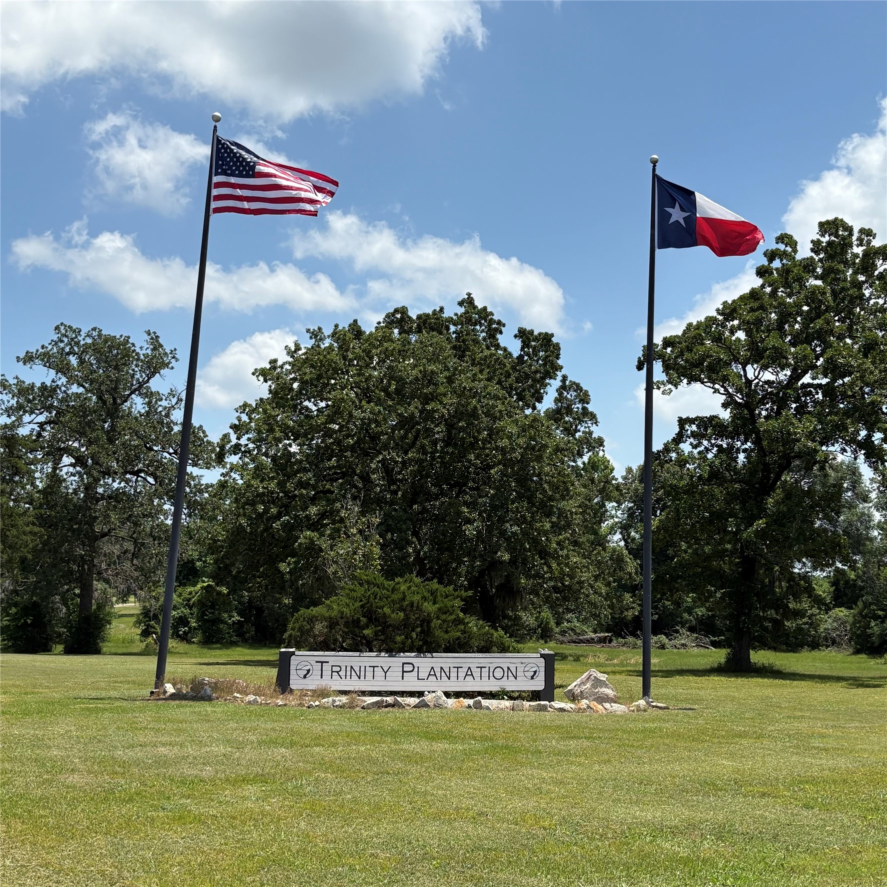 0 Bay Tree Street Trinity, TX 75862 - Photo 2 of 7