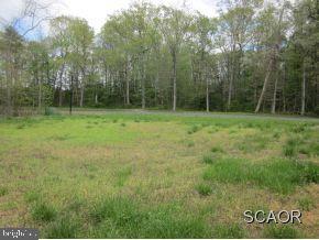 72 Beaver Pond Road Harrington, DE 19952 - Photo 3 of 12 Gallery Image 3