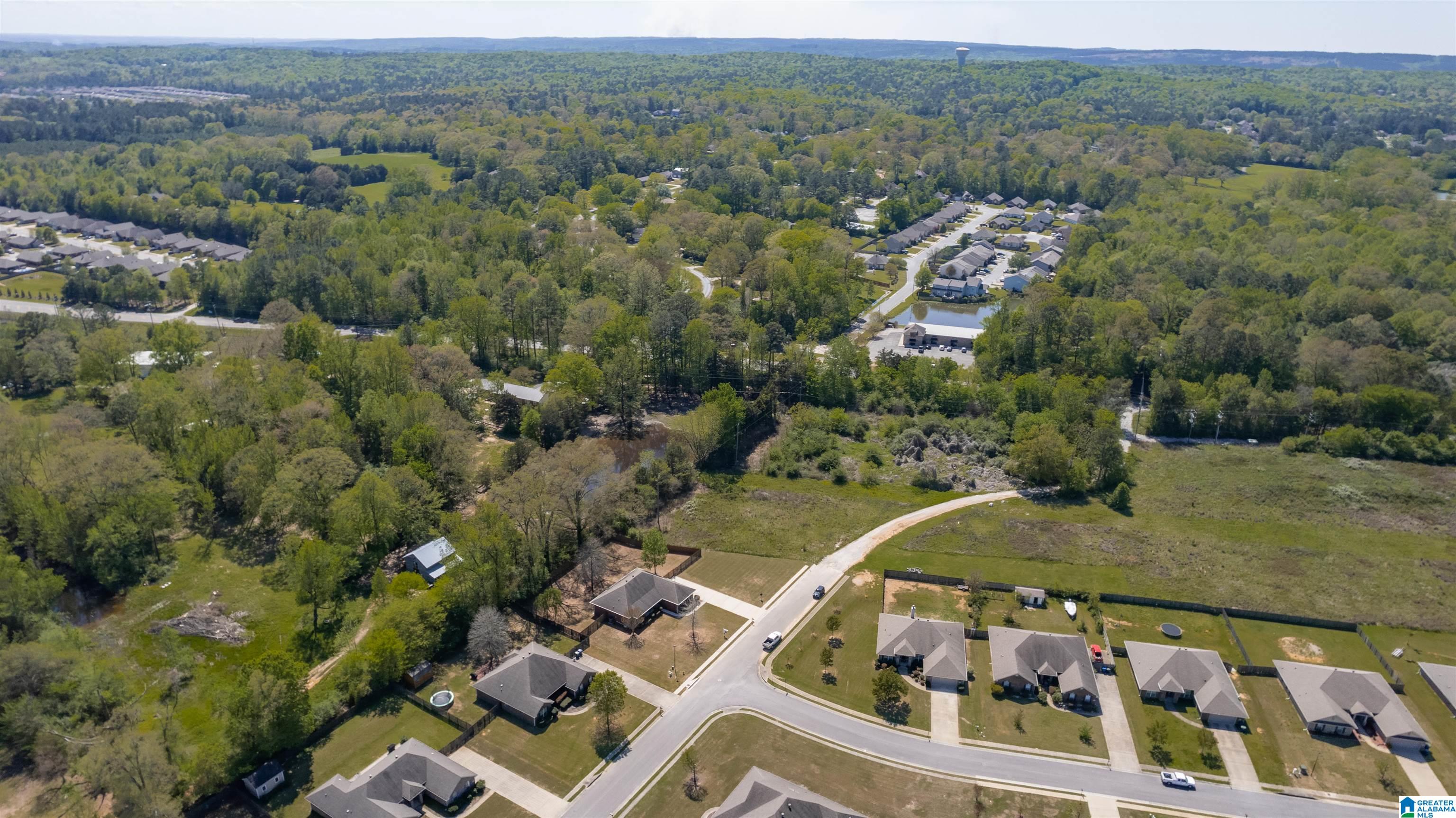 1177 Silver Creek Lane Alabaster, AL 35007 - Photo 48 of 50
