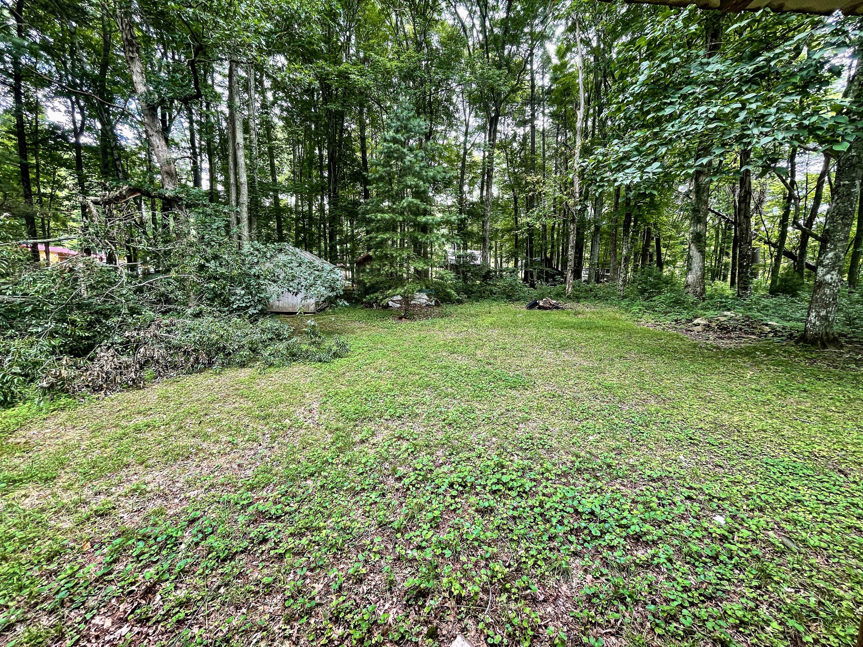 2244 Camp Road Sugar Grove, VA 24375 - Photo 27 of 35 27