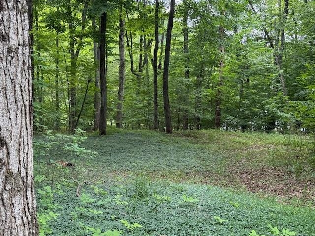 16568 Wagner Road Lake Ann, MI 49650 - Photo 19 of 79 1947392-966af03f-50bf-4ebf-8ed5-6fbc01b5f669.JPG