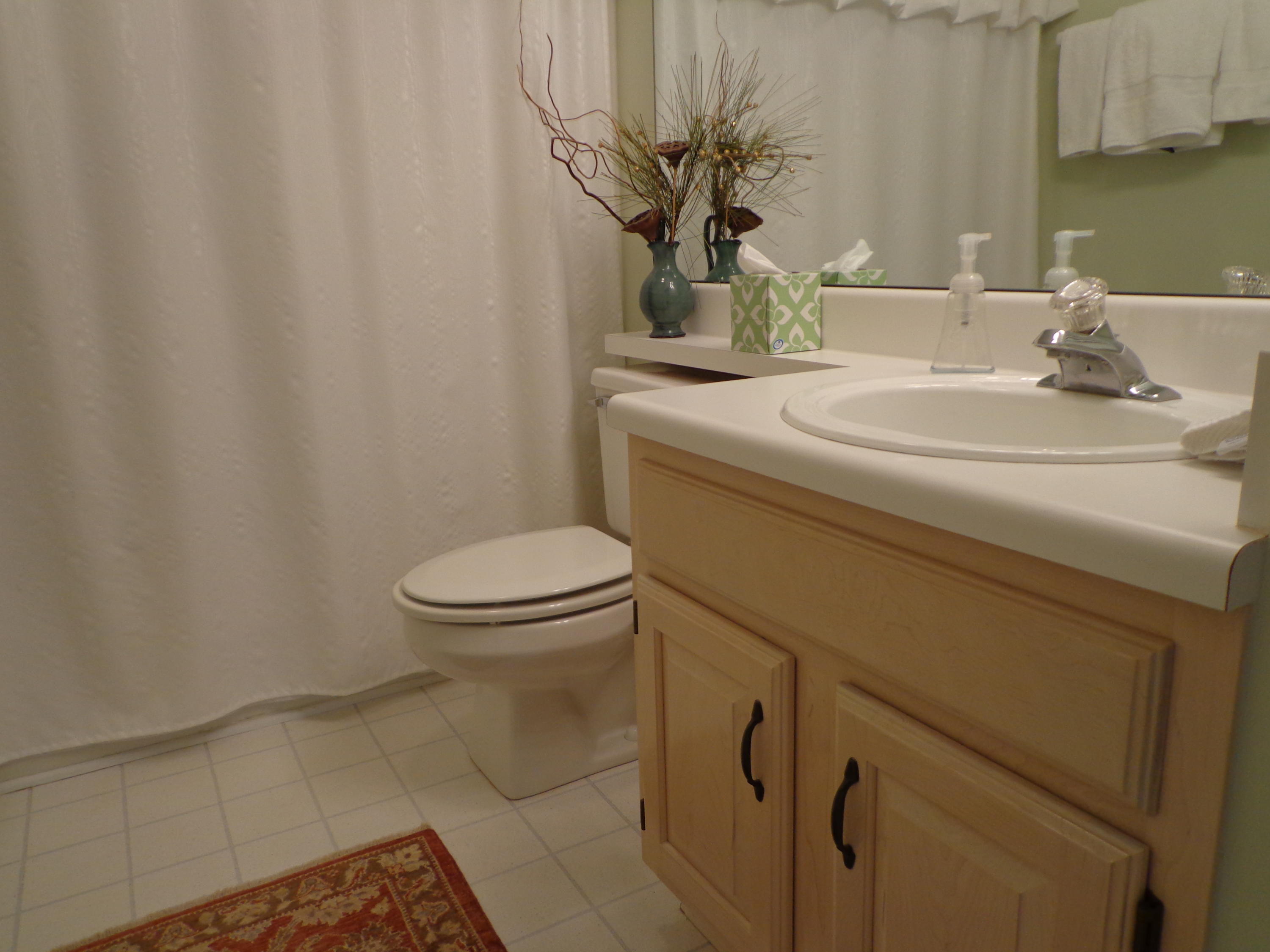 1908 McVitty Road Salem, VA 24153 - Photo 34 of 44 a bathroom with a sink a toilet and mirror