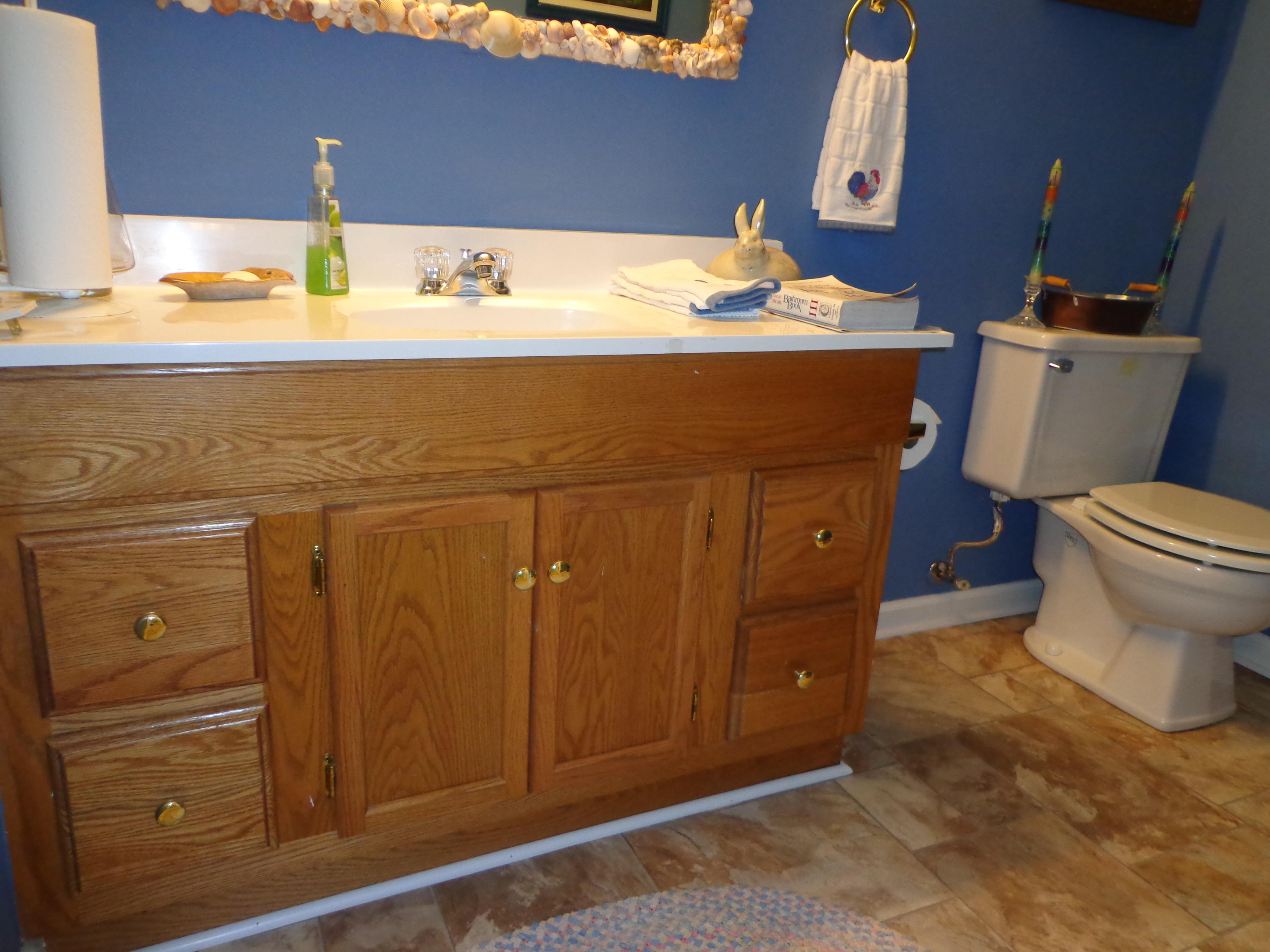 1908 McVitty Road Salem, VA 24153 - Photo 42 of 44 a bathroom with a sink and a toilet