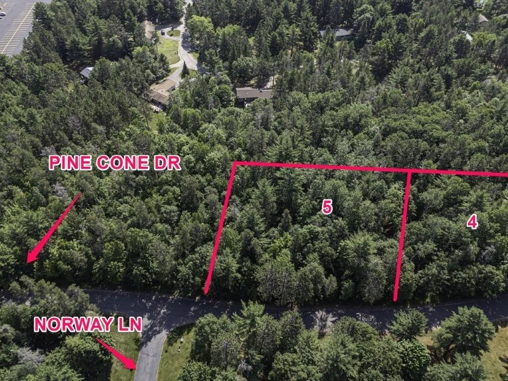 Lot 5 Pinecone Drive Rhinelander, WI 54501 - Photo 3 of 19 Gallery Image 3