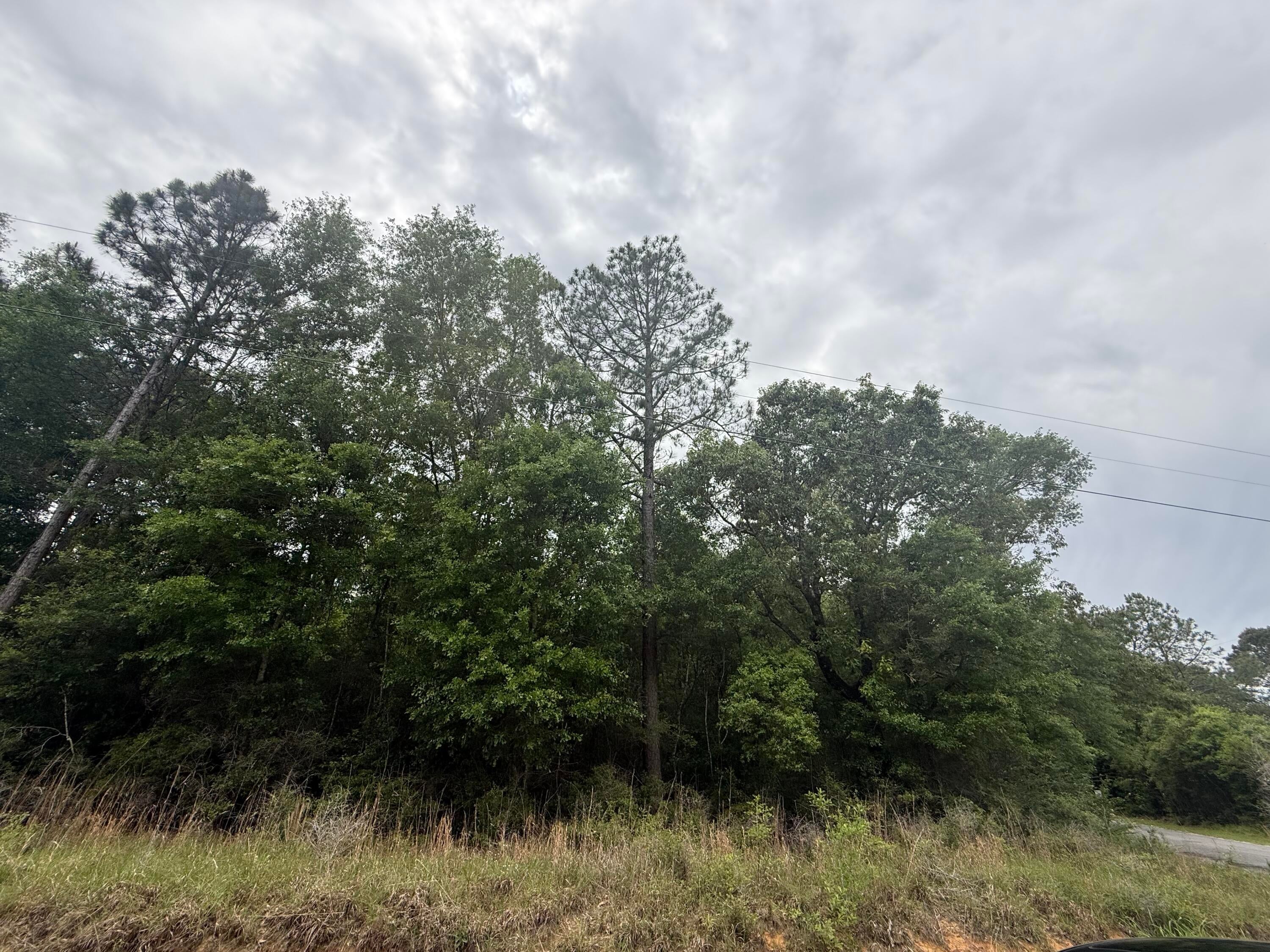 0 Otho Davis Road Lumberton, MS 39455 - Photo 2 of 5 IMG_8206