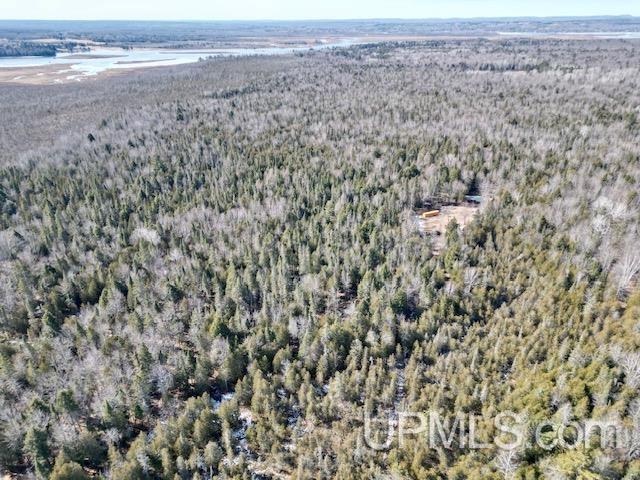 26347 Bootjack Road Lake Linden, MI 49945 - Photo 48 of 58