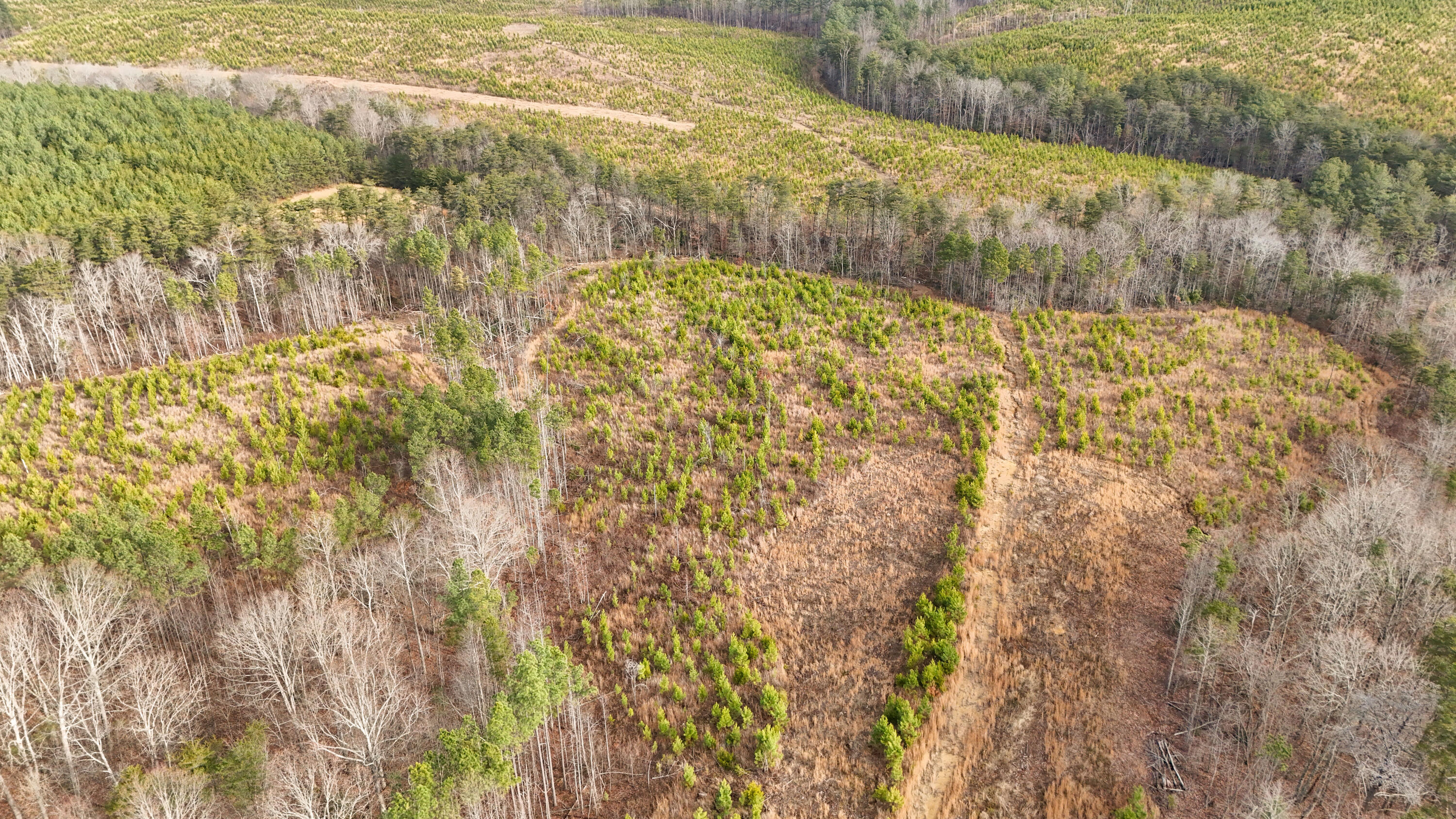 0 State Rt 399 Dunlap, TN 37327 - Photo 4 of 14 Longview-2