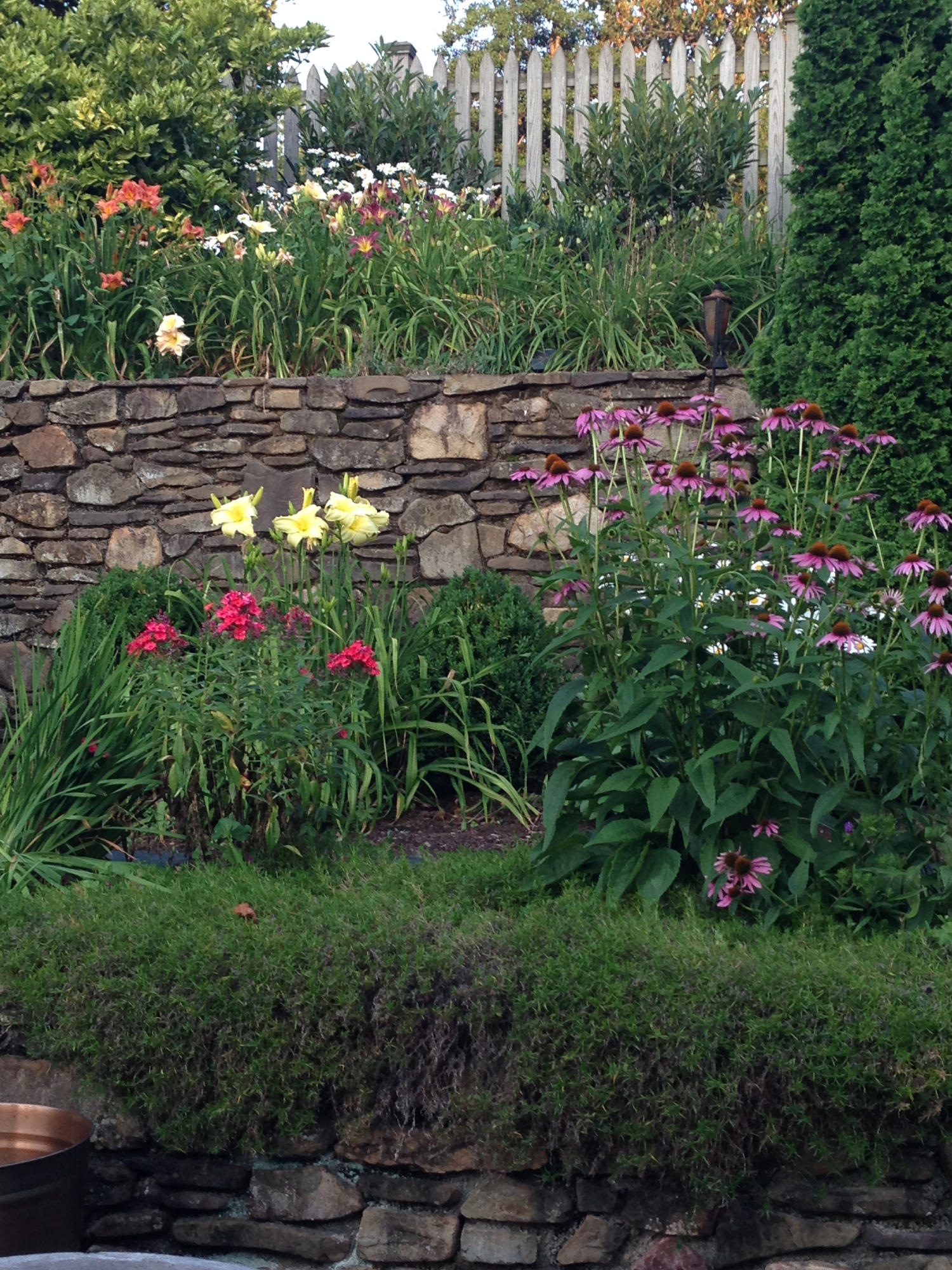 45 Cardinal Road Southwest Roanoke, VA 24014 - Photo 8 of 35 a view of a garden with flowers