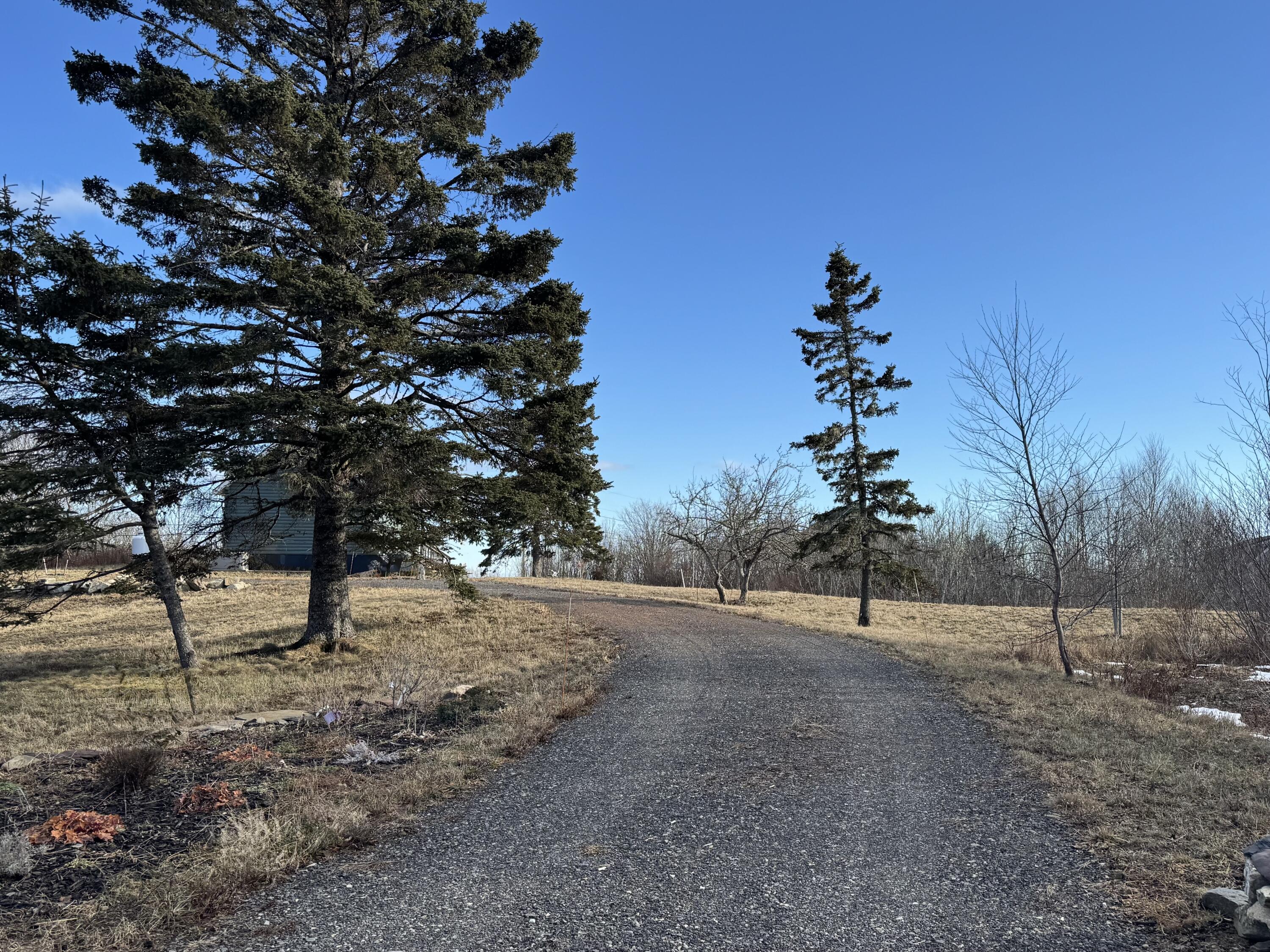 6 Cecelias Way Lubec, ME 04652 - Photo 36 of 57 IMG_7889