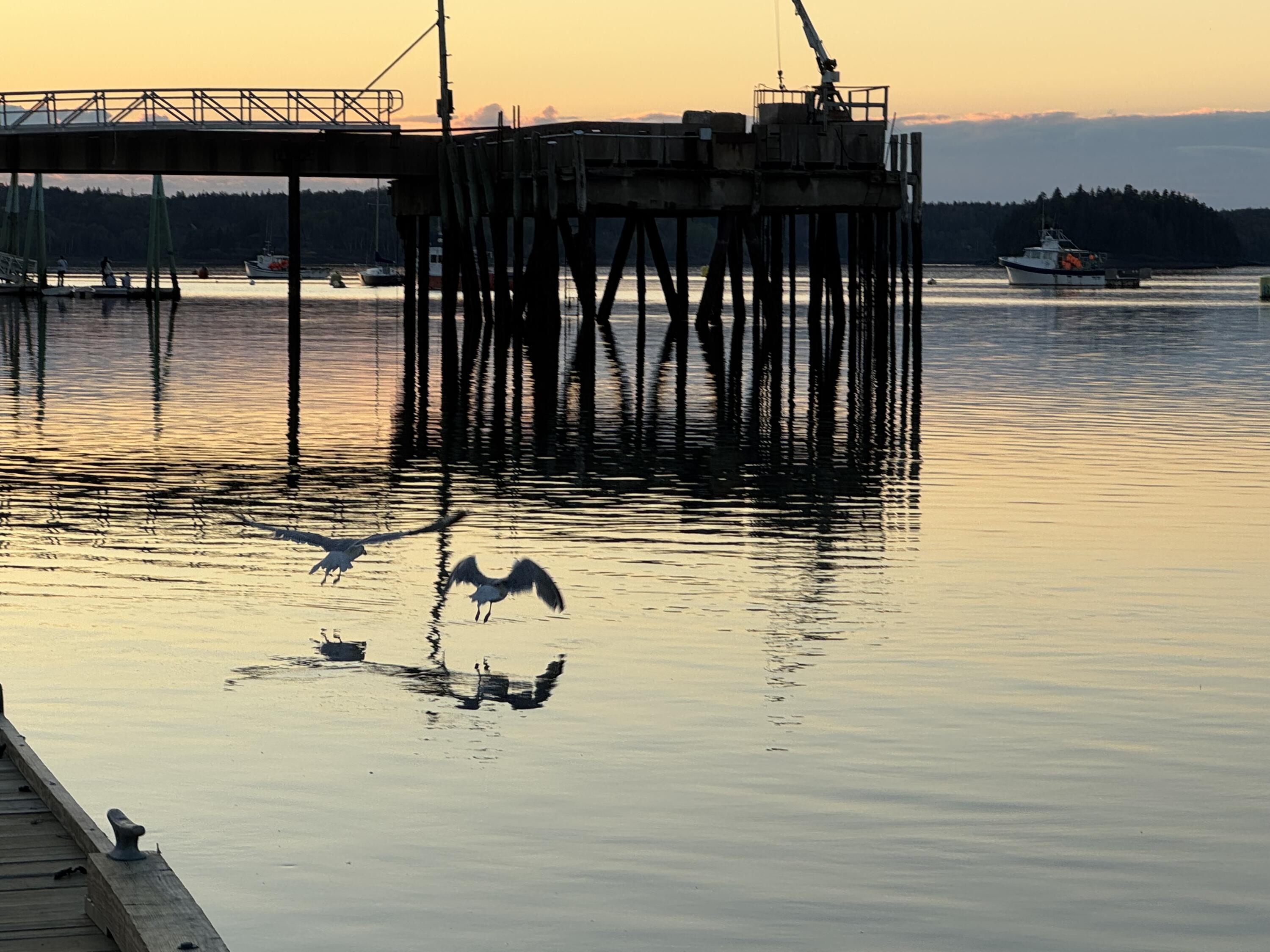 6 Cecelias Way Lubec, ME 04652 - Photo 50 of 57 IMG_4889