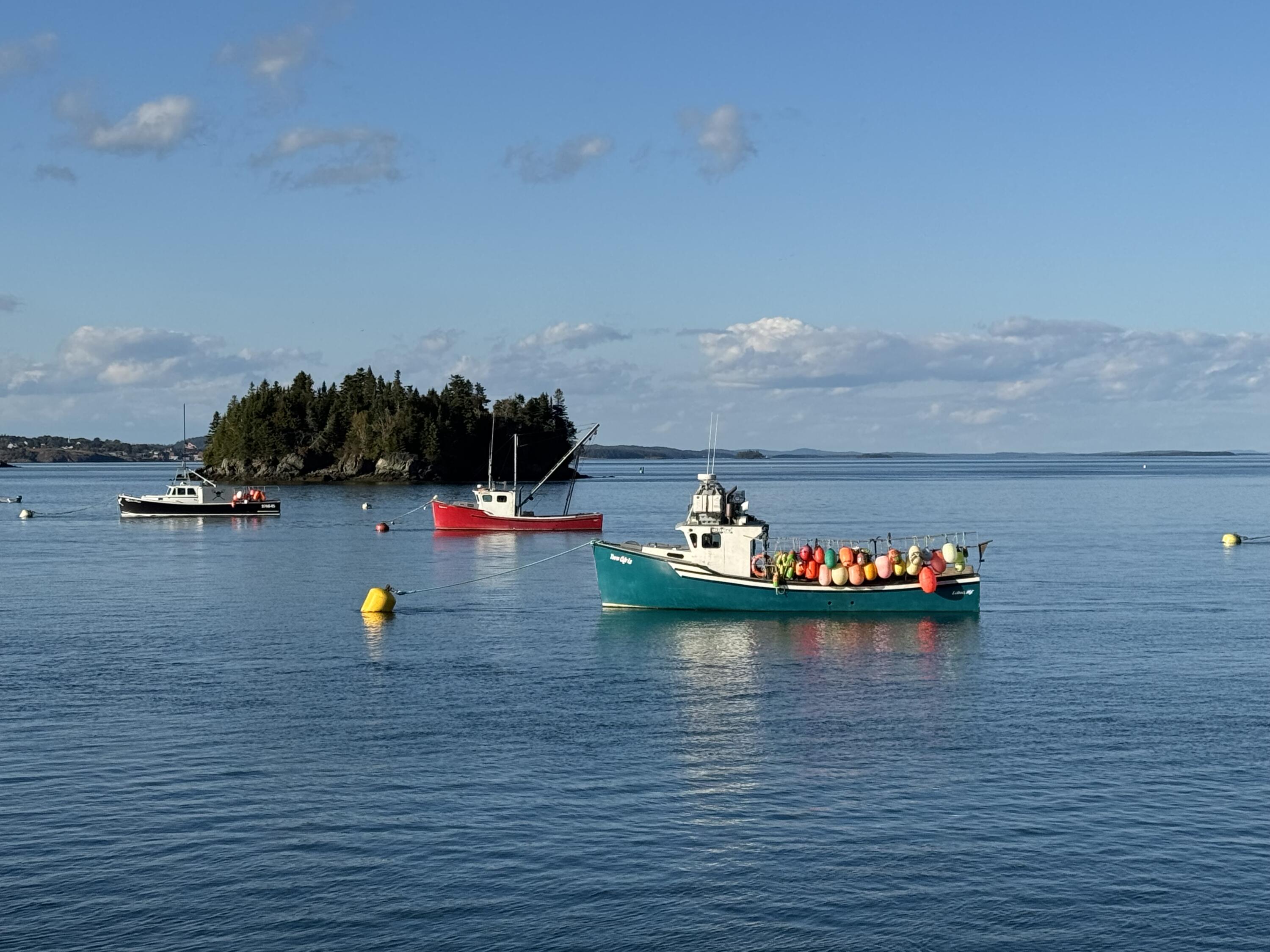6 Cecelias Way Lubec, ME 04652 - Photo 53 of 57 IMG_4857
