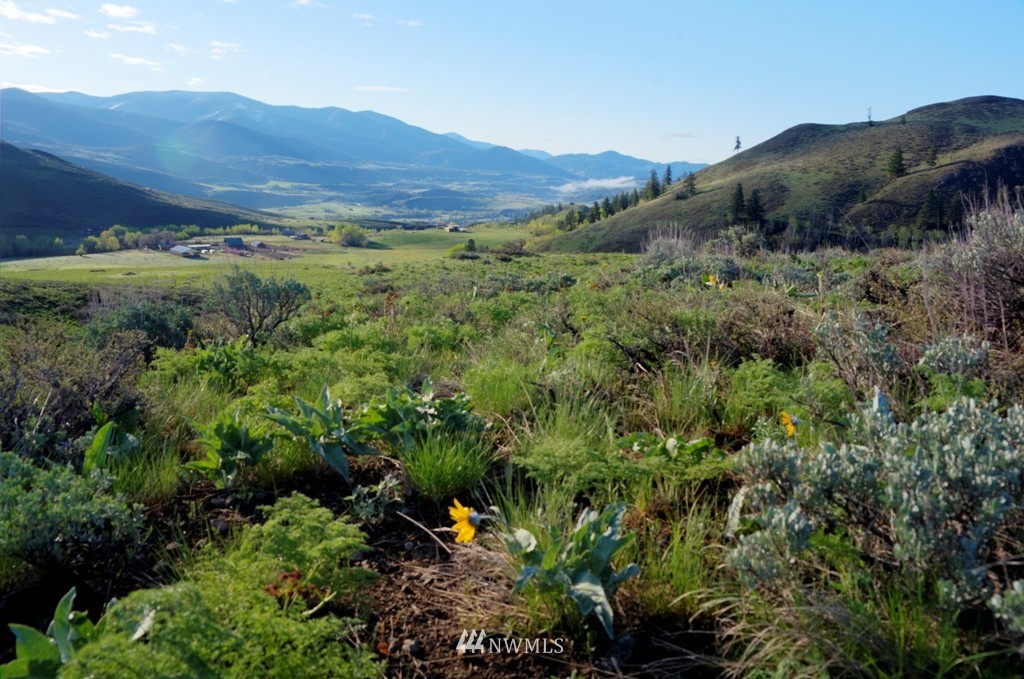 -xx Rendezvous Road Winthrop, WA 98862 - Photo 1 of 1 Gallery Image 1
