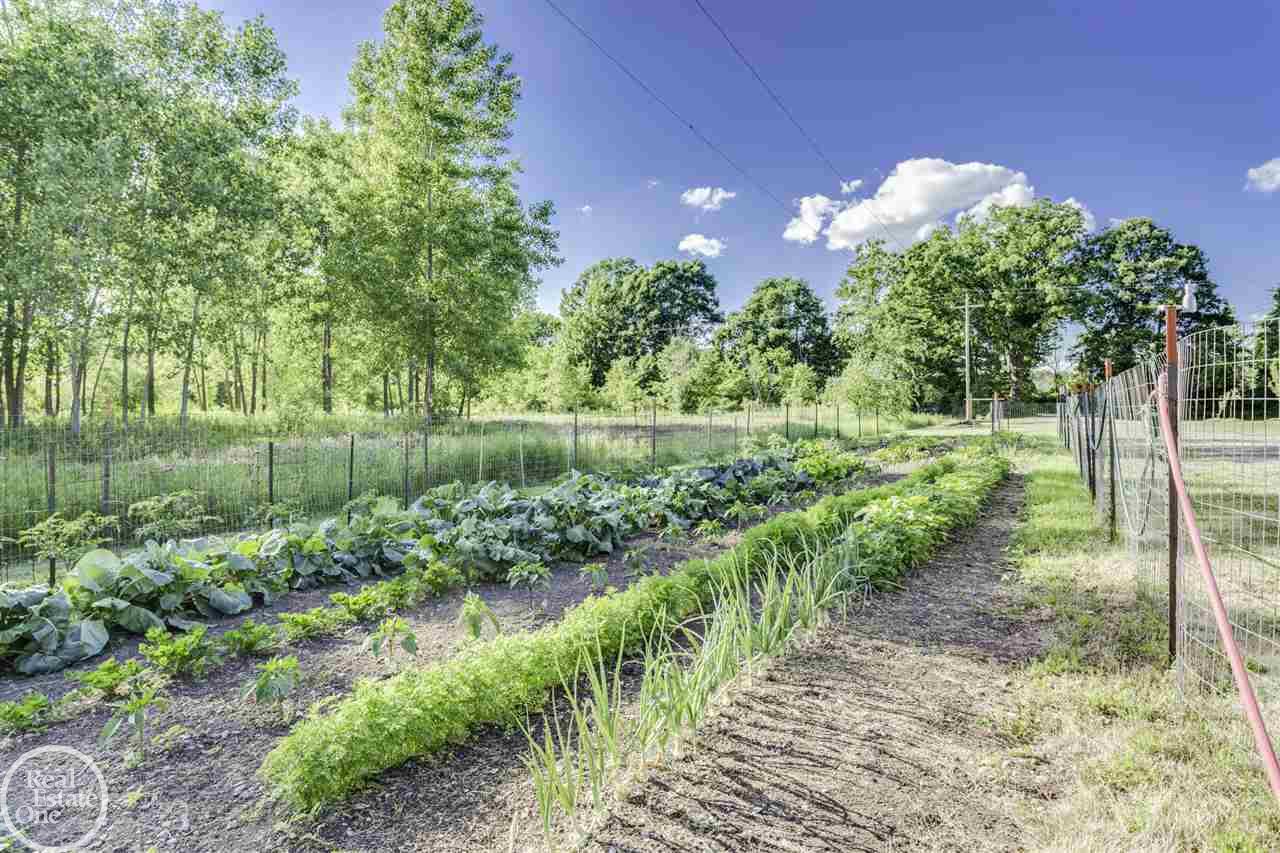 12279 Dunn Road Memphis, MI 48041 - Photo 34 of 40