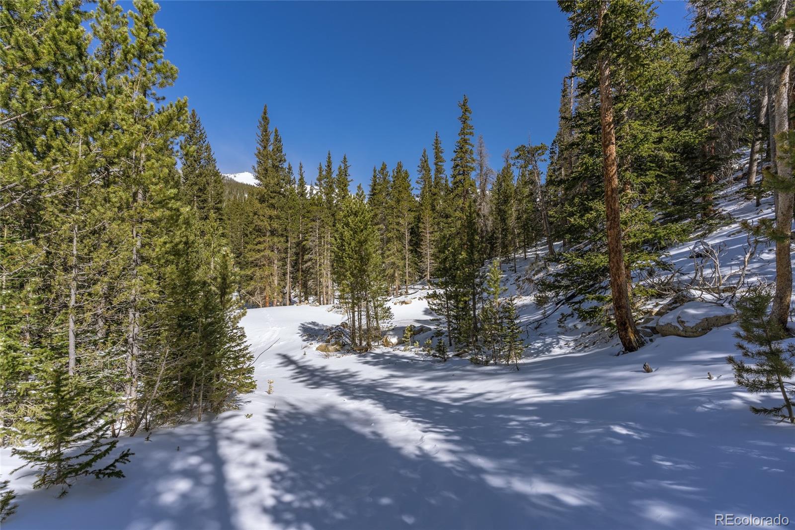 1 Lake Road Idaho Springs, CO 80452 - Photo 1 of 40 Gallery Image 1