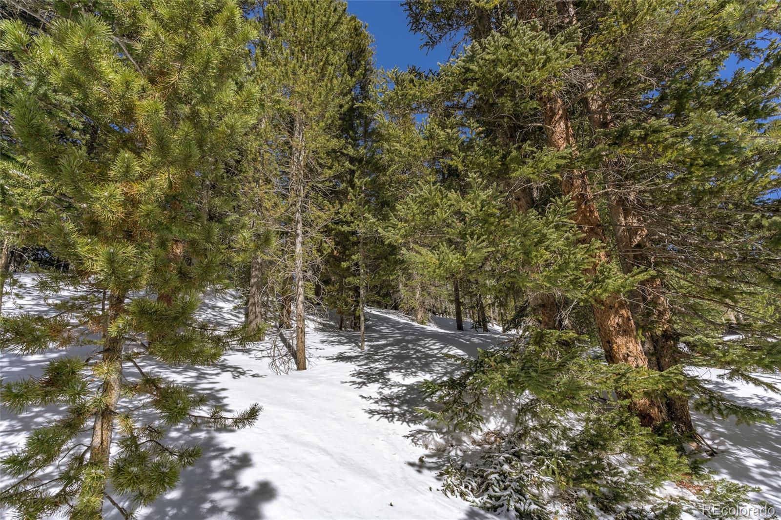 1 Lake Road Idaho Springs, CO 80452 - Photo 11 of 40 Gallery Image 11