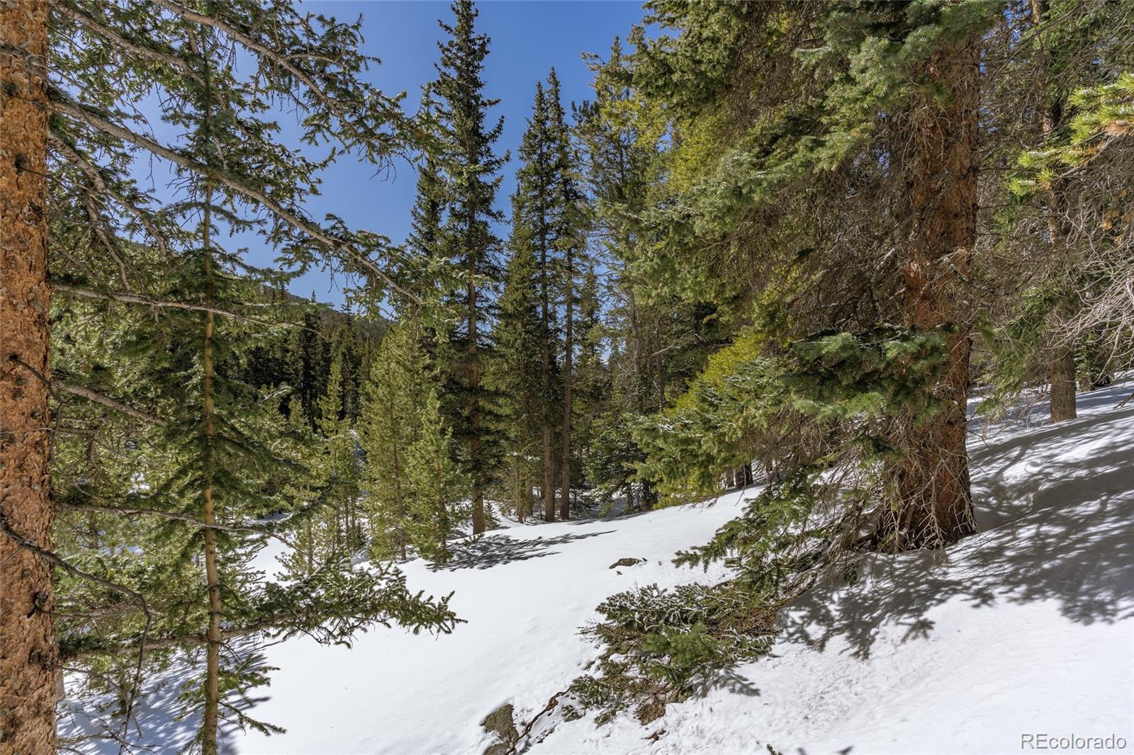 1 Lake Road Idaho Springs, CO 80452 - Photo 13 of 40 Gallery Image 13